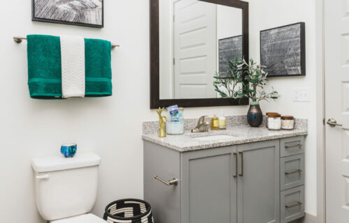 Enrich Your Living Experience - bathroom interior with designer vanities