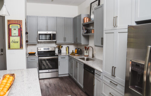 Your Kitchen's Best Friend - luxury apartment kitchen with stainless steel appliance